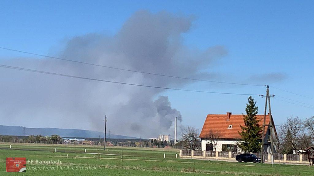 Waldbrand im Föhrenwald