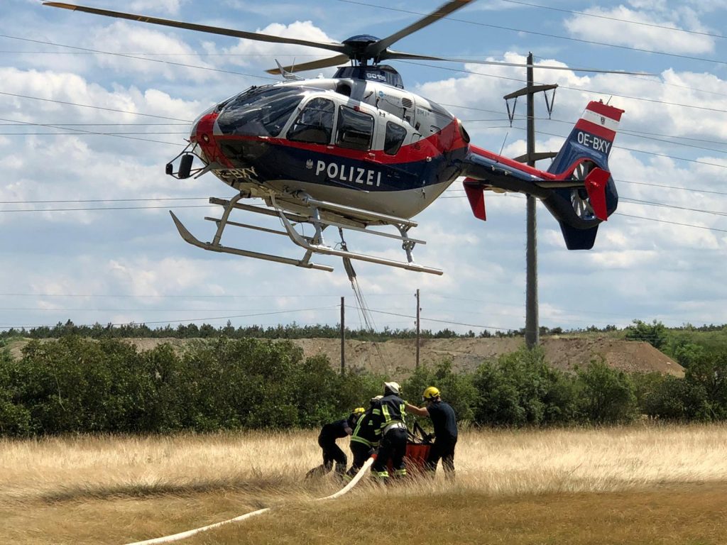 Zwei Waldbrände im Föhrenwald innerhalb von drei Tagen