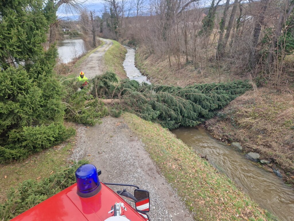 Abarbeiten von Sturmschäden in Ramplach